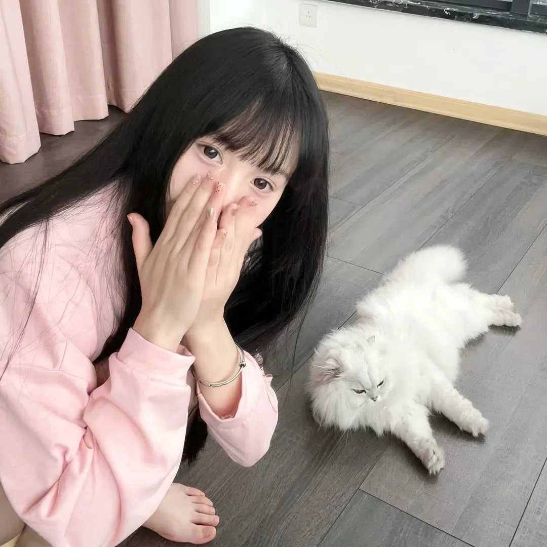 撞彩发达